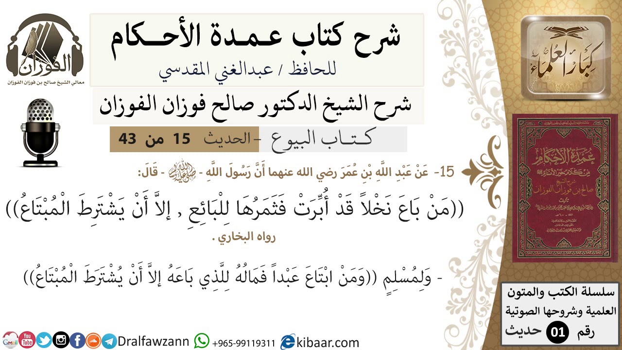 15 من 42/عمدة الأحكام/كتاب البيوع/حديث/ من باع نخلا قد ابرت/ الشيخ صالح الفوزان/مشروع كبار العلماء