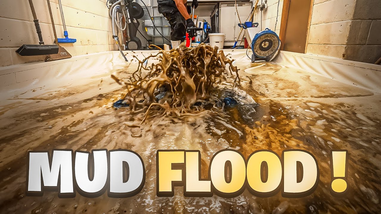 Flooded Mud Soaked Shaggy Rug Cleaning | Most Common Questions Answered #asmr #carpetcleaning