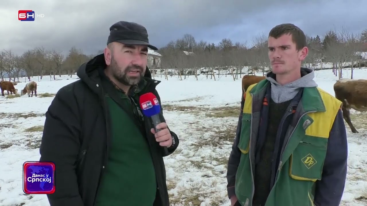 Dejan Mitrić iz sela Čuklića kod Šipova vratio se iz Njemačke i osnovao farmu krava  (BN TV 2022) HD