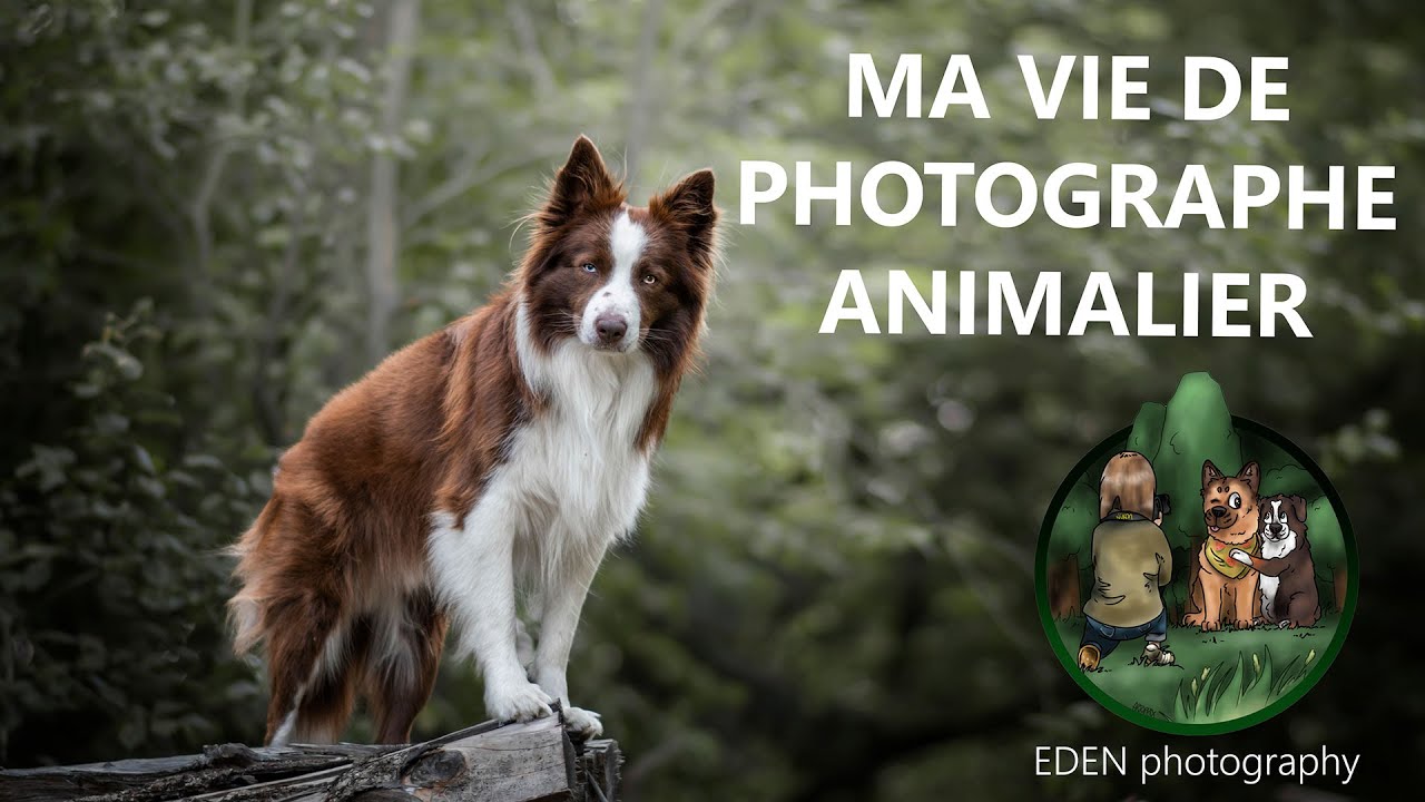 Photographe ANIMALIER l'envers du décor !