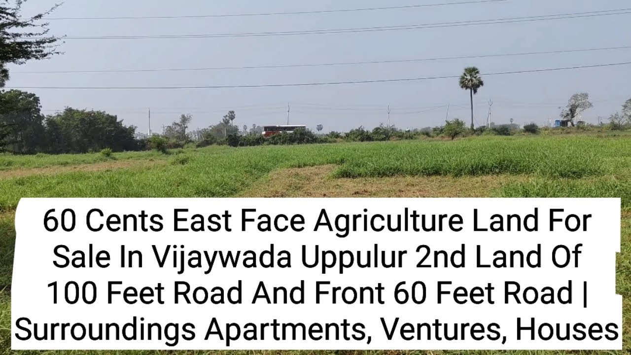 60 Cents East Face Land For Sale In Vijaywada Uppulur 2nd Land Of 100 Feet R/d & Front 60 Feet R/d