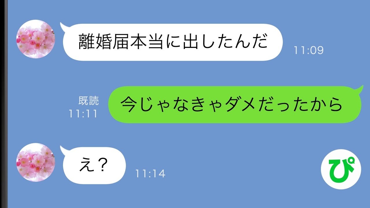 【LINE】余命僅かな妻に俺「お前の姉と再婚するから離婚してくれ」妻「え...？」俺「今まで幸せでした」【スカッと修羅場】【総集編】