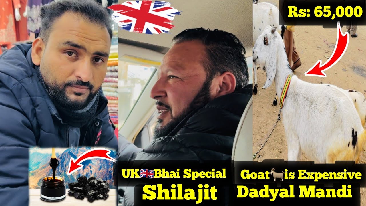Brothers From The UK🇬🇧Came To Get Special Shilajit || Goats🐐Are Expensive in Dadyal Mandi ||