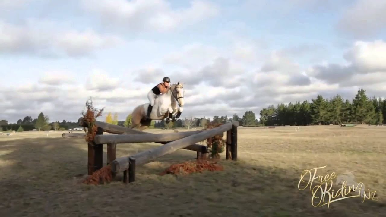 Il parait que l'équitation n'est pas un sport