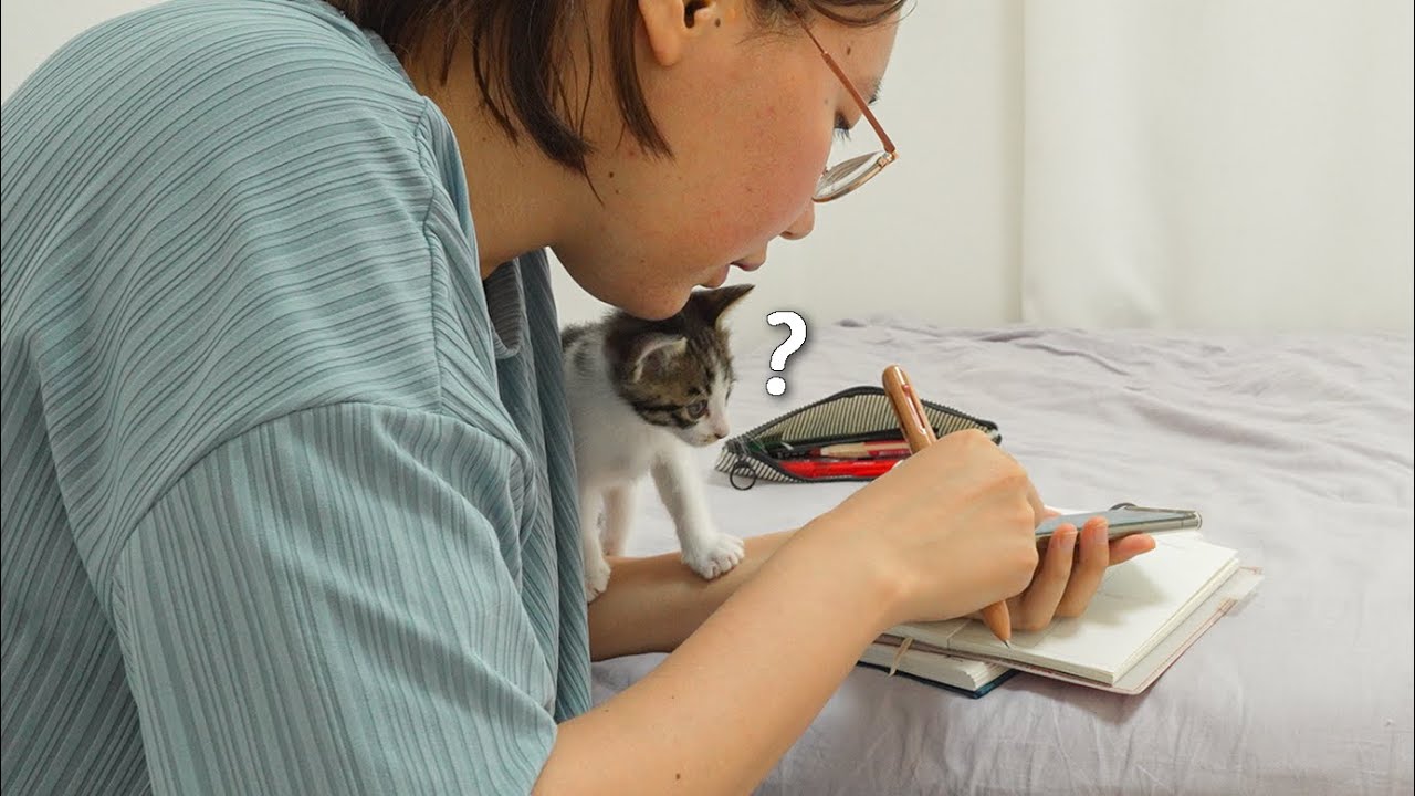 What Happens When You Study with a Baby kitten!