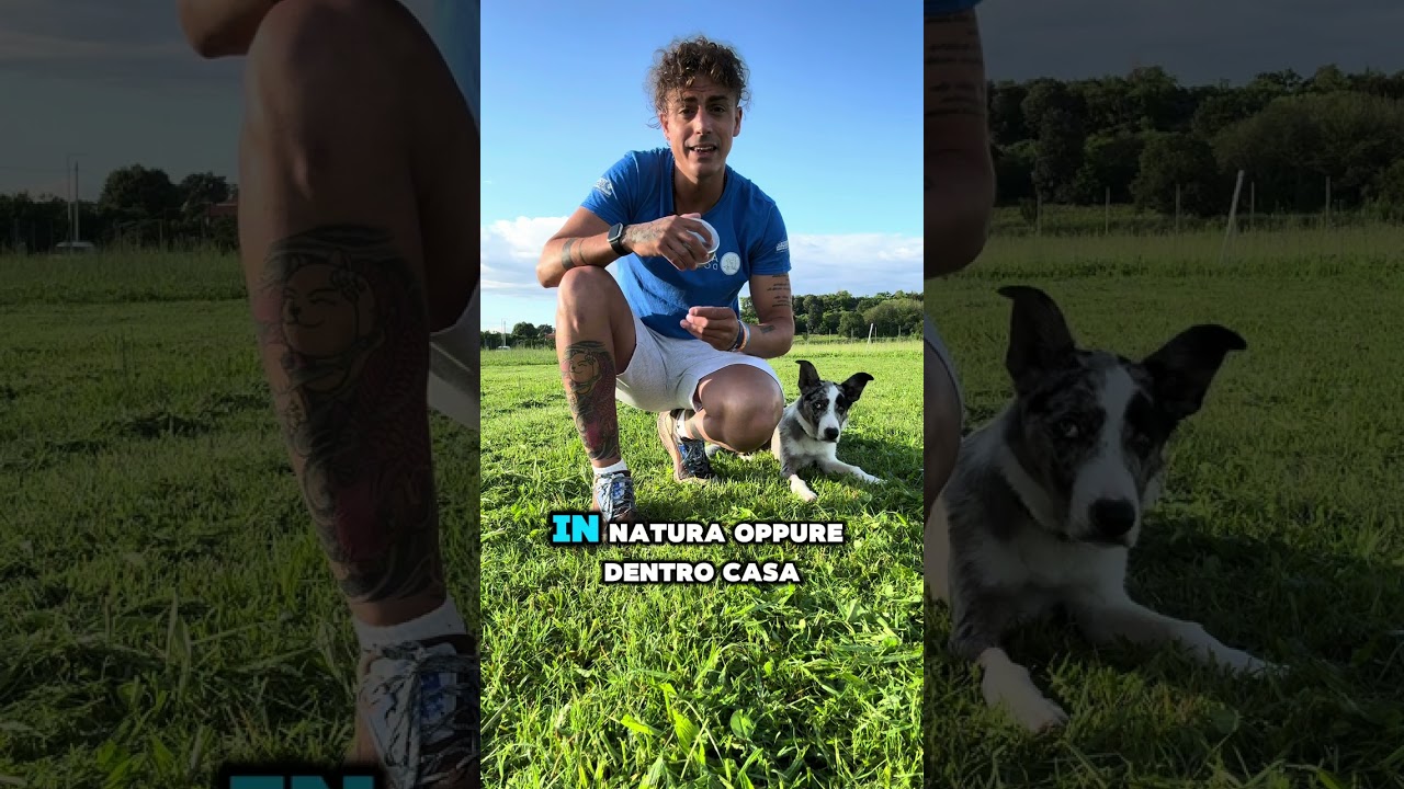 Tutorial ricerca olfattiva