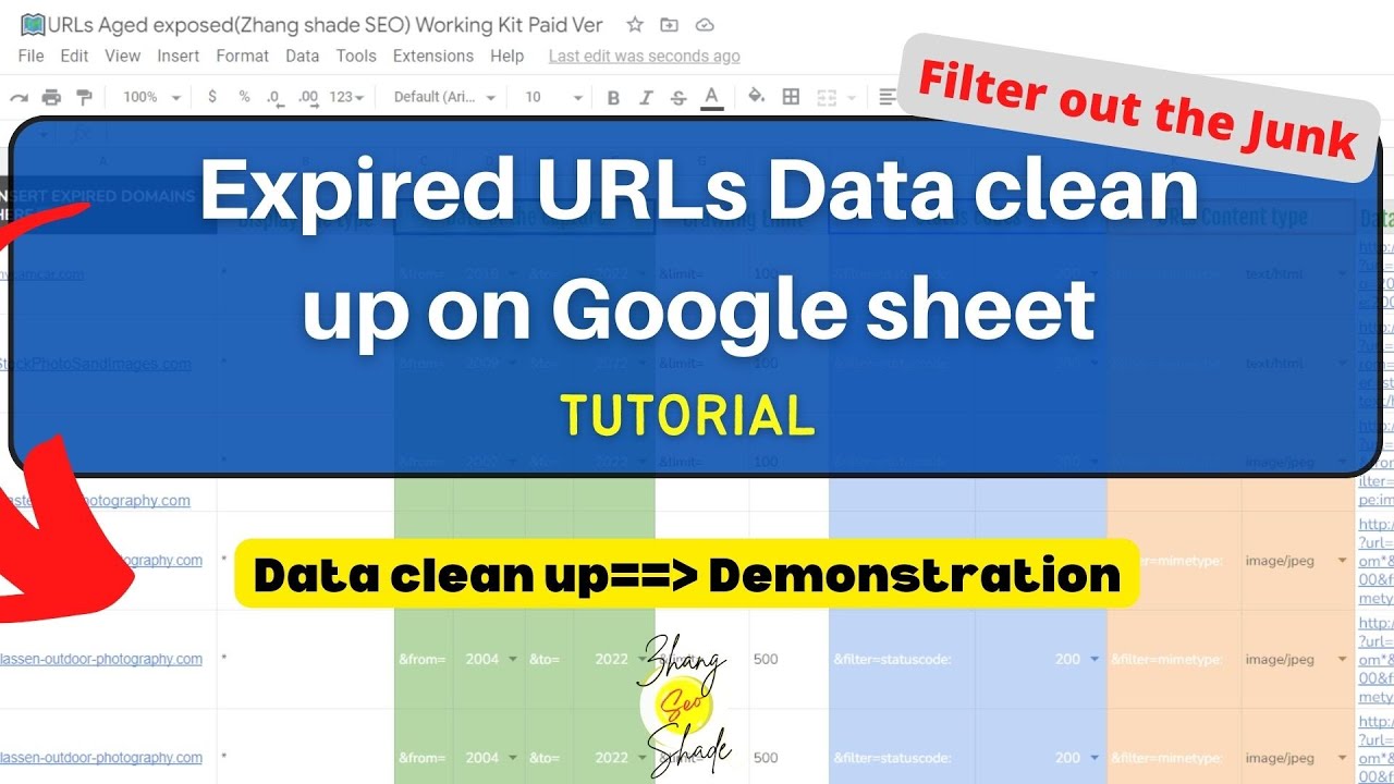The Quickest way to Clean Data and Get clean URLs (Zhang shade)