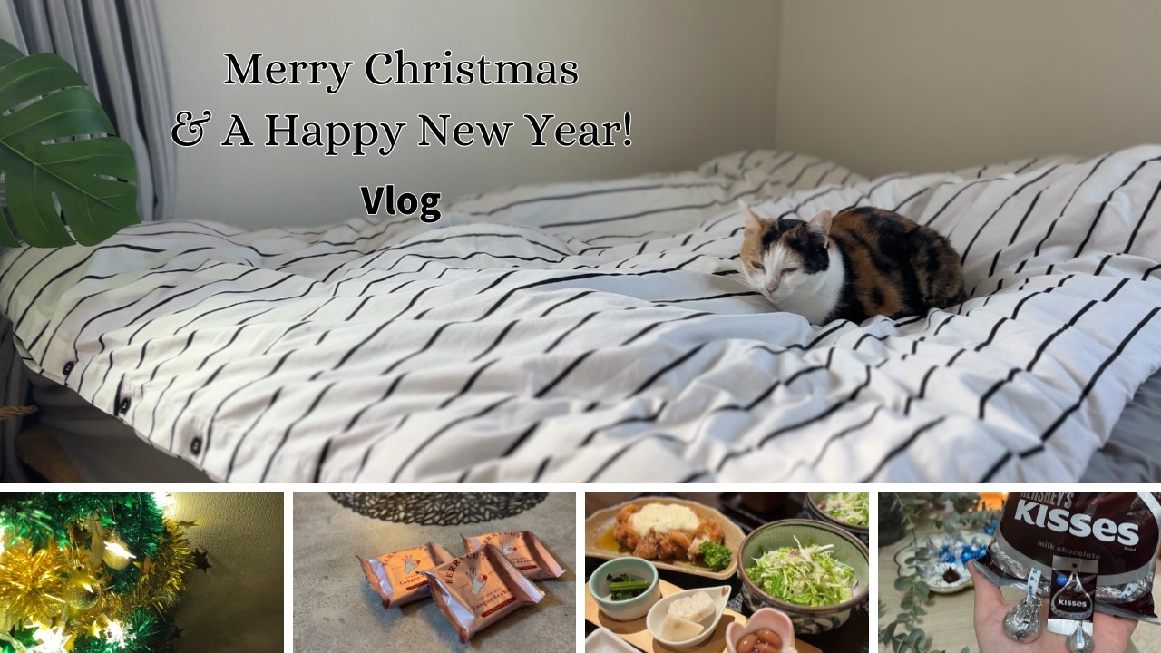 〈VLOG〉猫と過ごす週末🐈｜話題のキスチョコガチャ＆100均材料で壁にクリスマスツリーDIY🎄