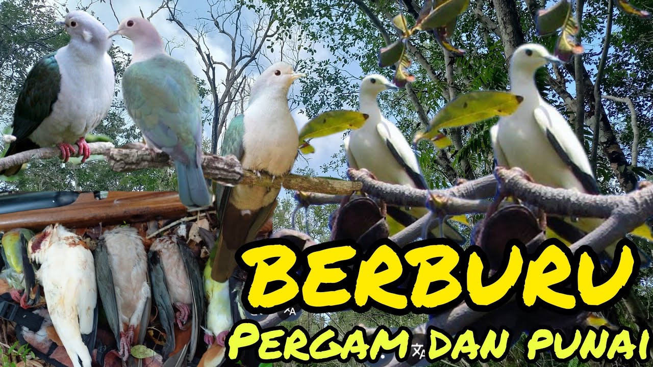 ASIK BERBURU PERGAM DI SPOT SPOT BARU