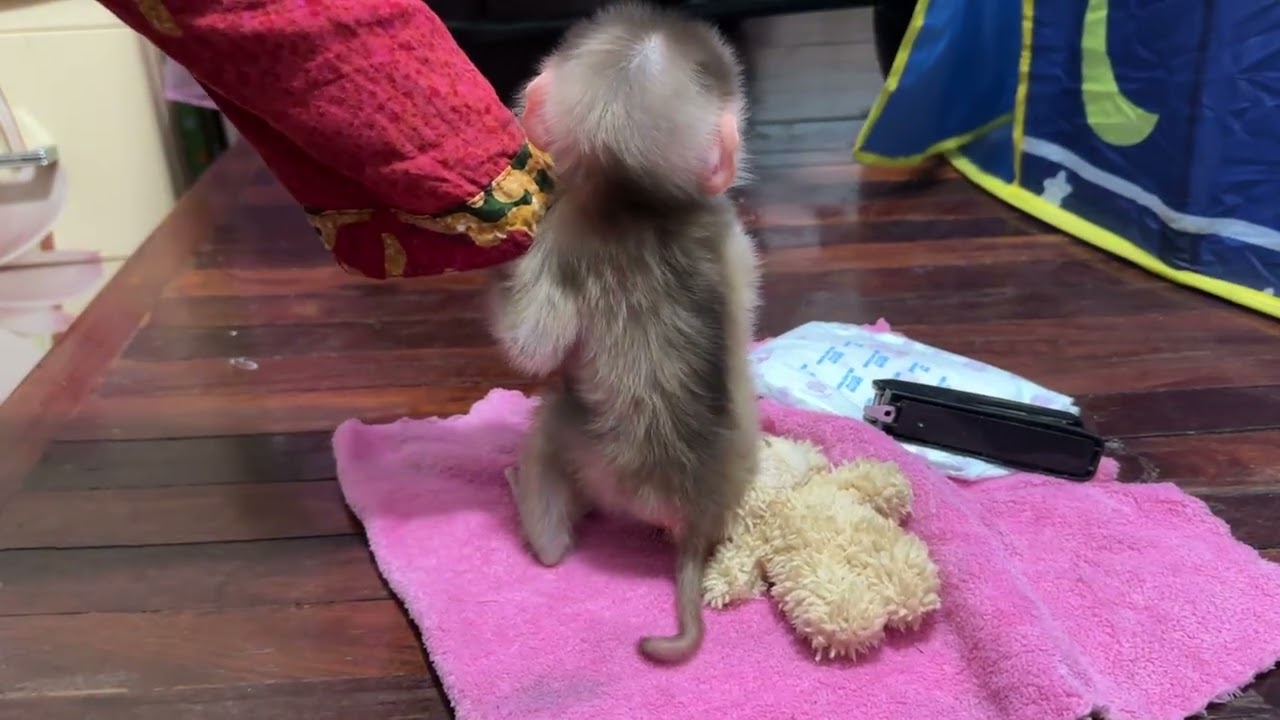 Mummy take care baby in the morning 