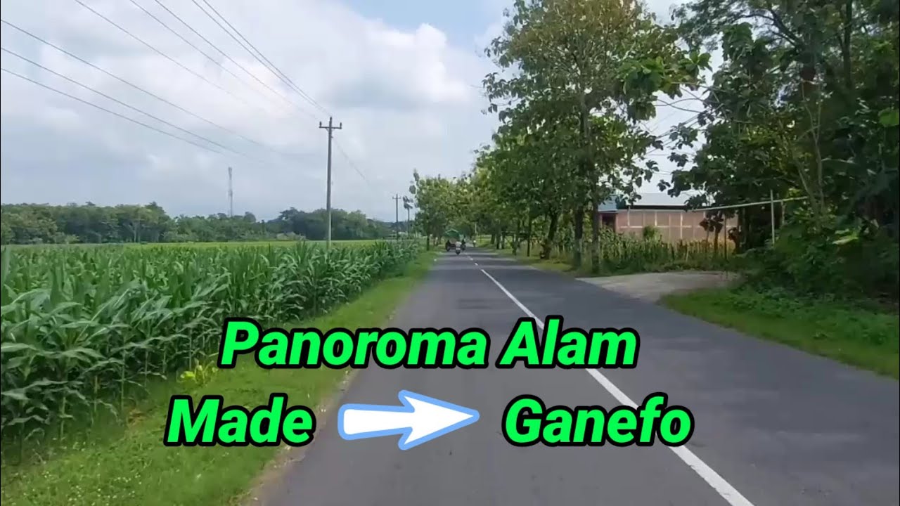 Menelusuri jalan Made - Tangen, Kab. Sragen, Suasana Desa yang Asri