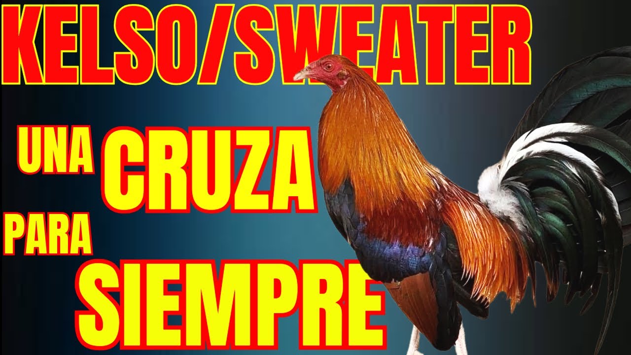 KELSO/SWEATER... UNA CRUZA PARA TODA LA VIDA