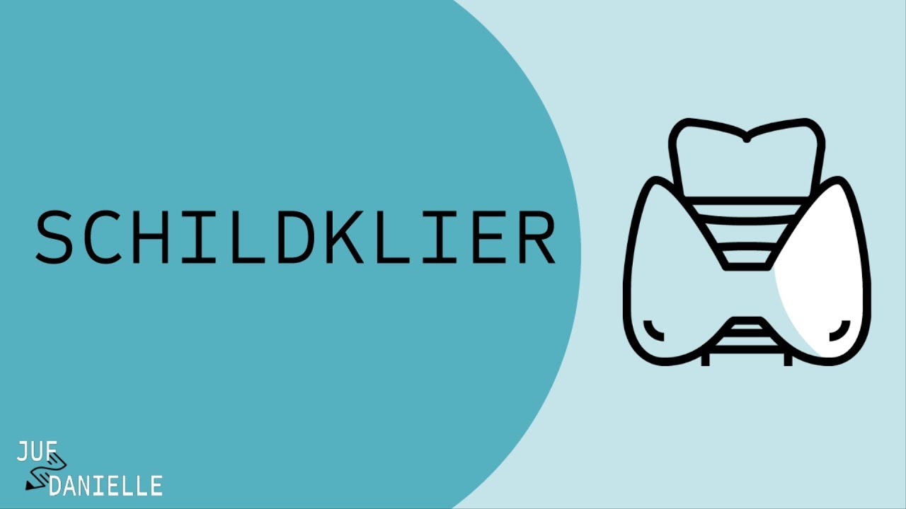 Schildklier en schildklierhormonen