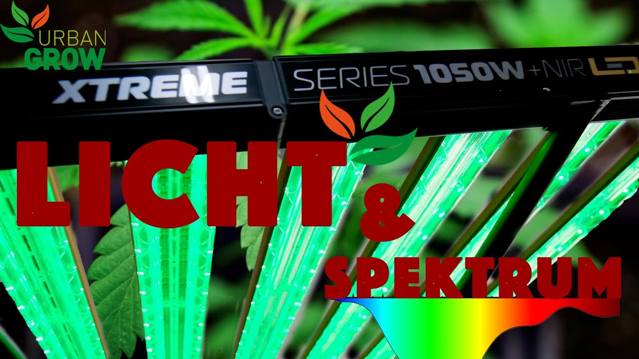 Far Red, UV, IR & Grünes Licht // Was macht das alles?