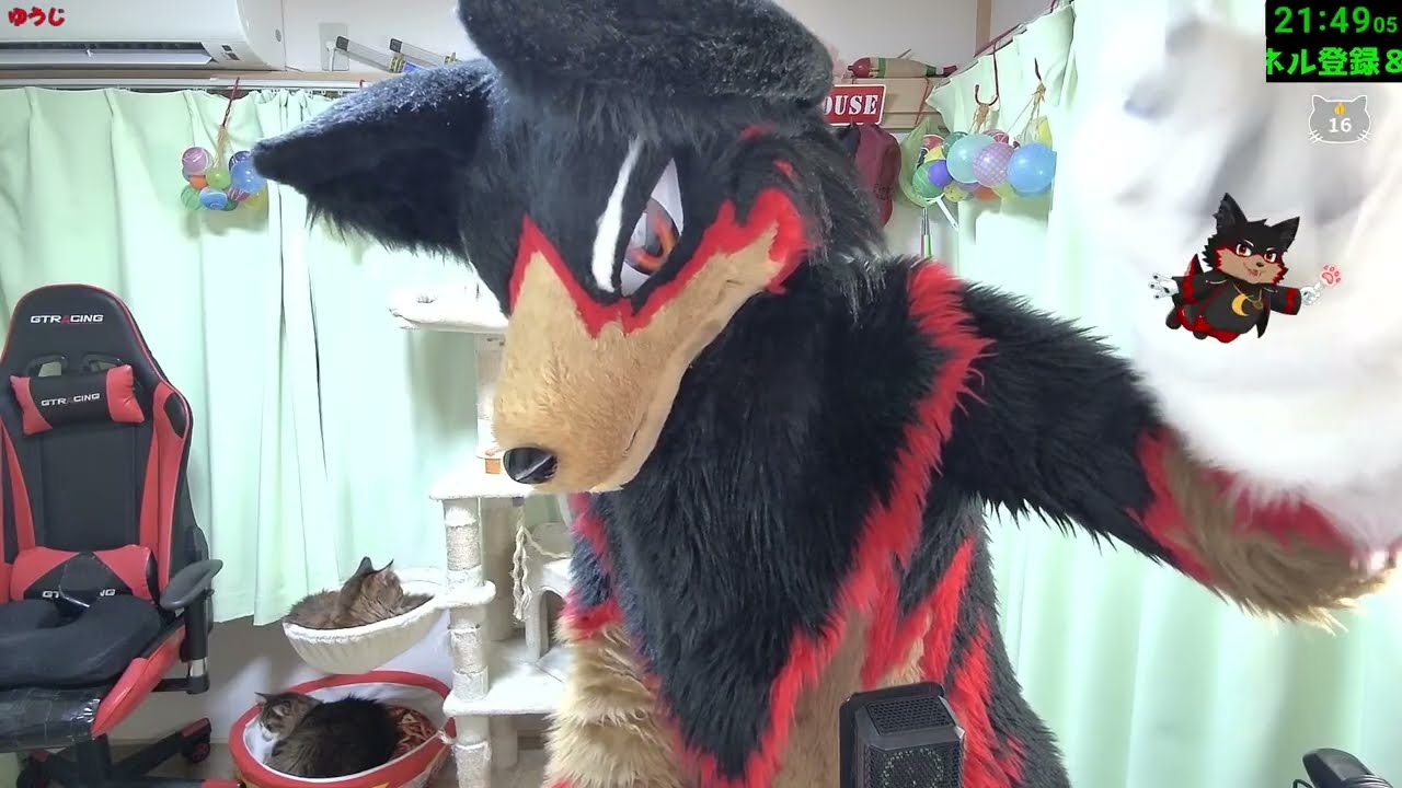 【Fursuit/獣化