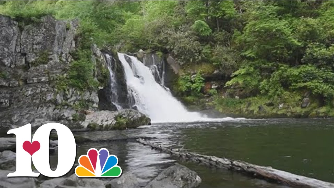 Hometown Spotlight: Townsend trails you can explore | 10Explores