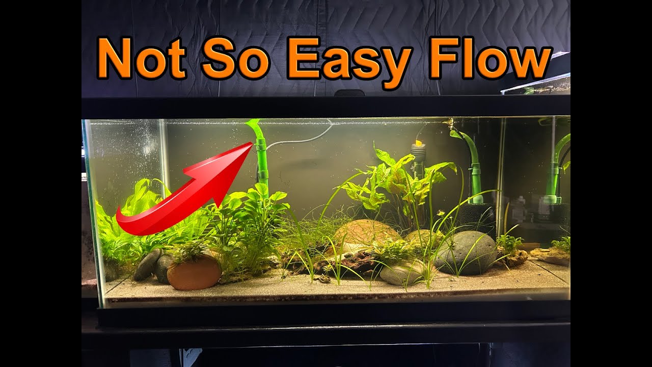 Aquarium Co-op Easy Flow Filters: Worth It or Not?