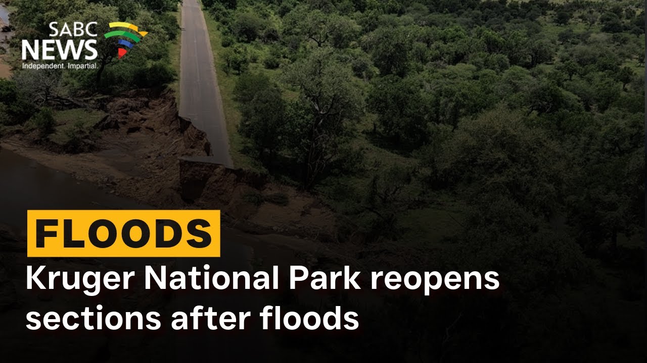 Kruger National Park reopens sections after floods
