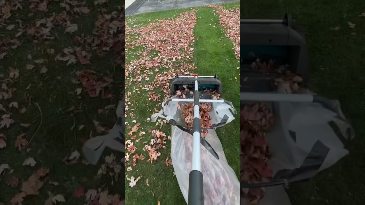 BEST Leaf Collector. Gardena makes it and I attached a big bag to the back