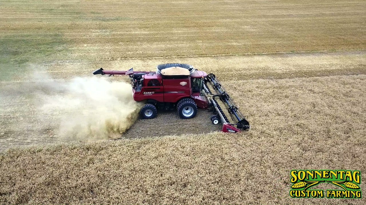 Sonnentag Harvesting - South Dakota Wheat Harvest 2020