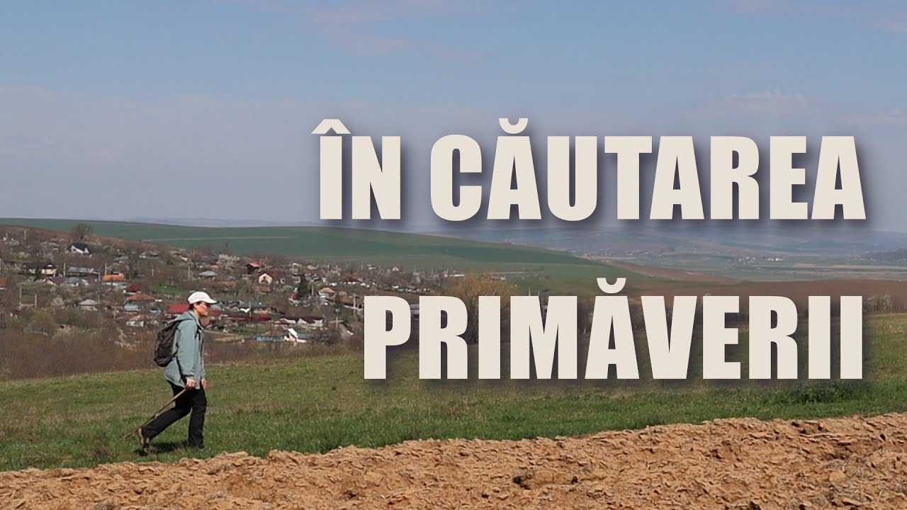În căutarea primăverii. Ce am plantat în aprilie.