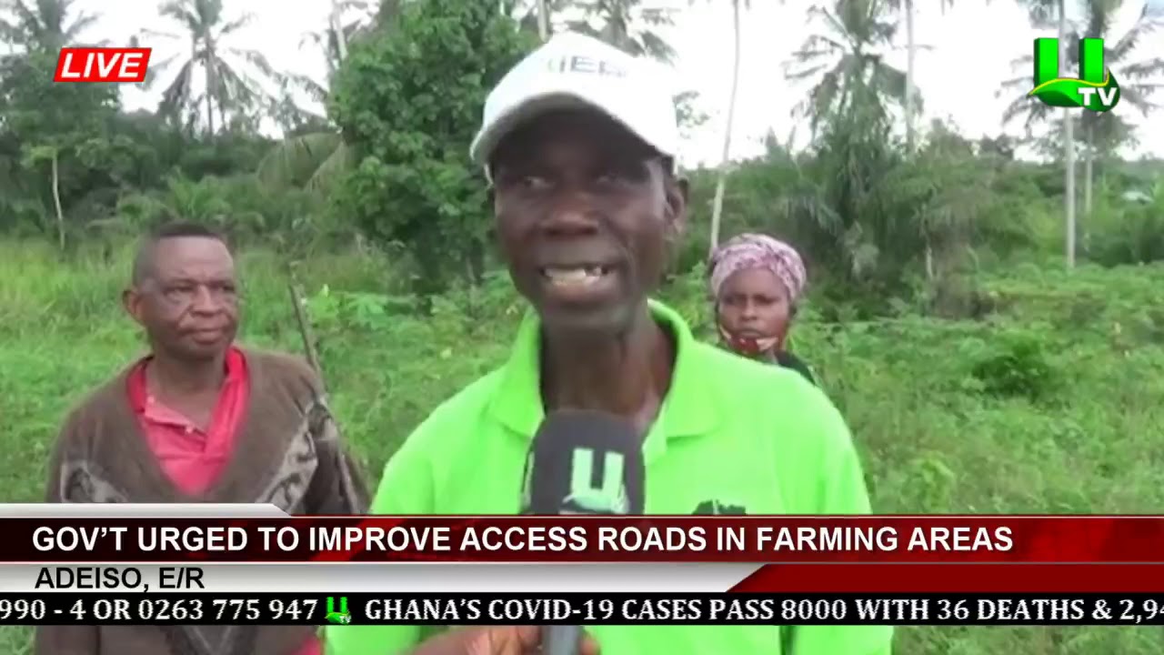 Adeiso: Government Urged To Improve Access Roads In Farming Areas