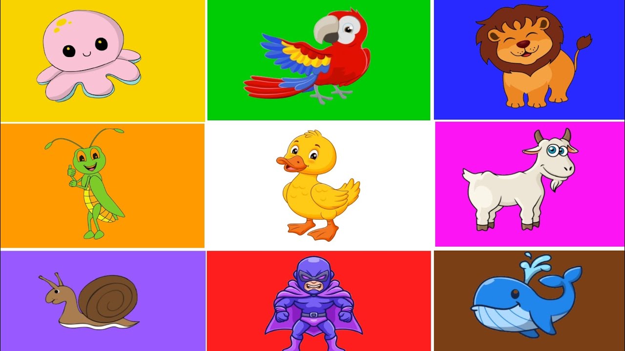 ¡Aprende los Colores con Plim Plim! 🎨 Divertido y Educativo para Niños