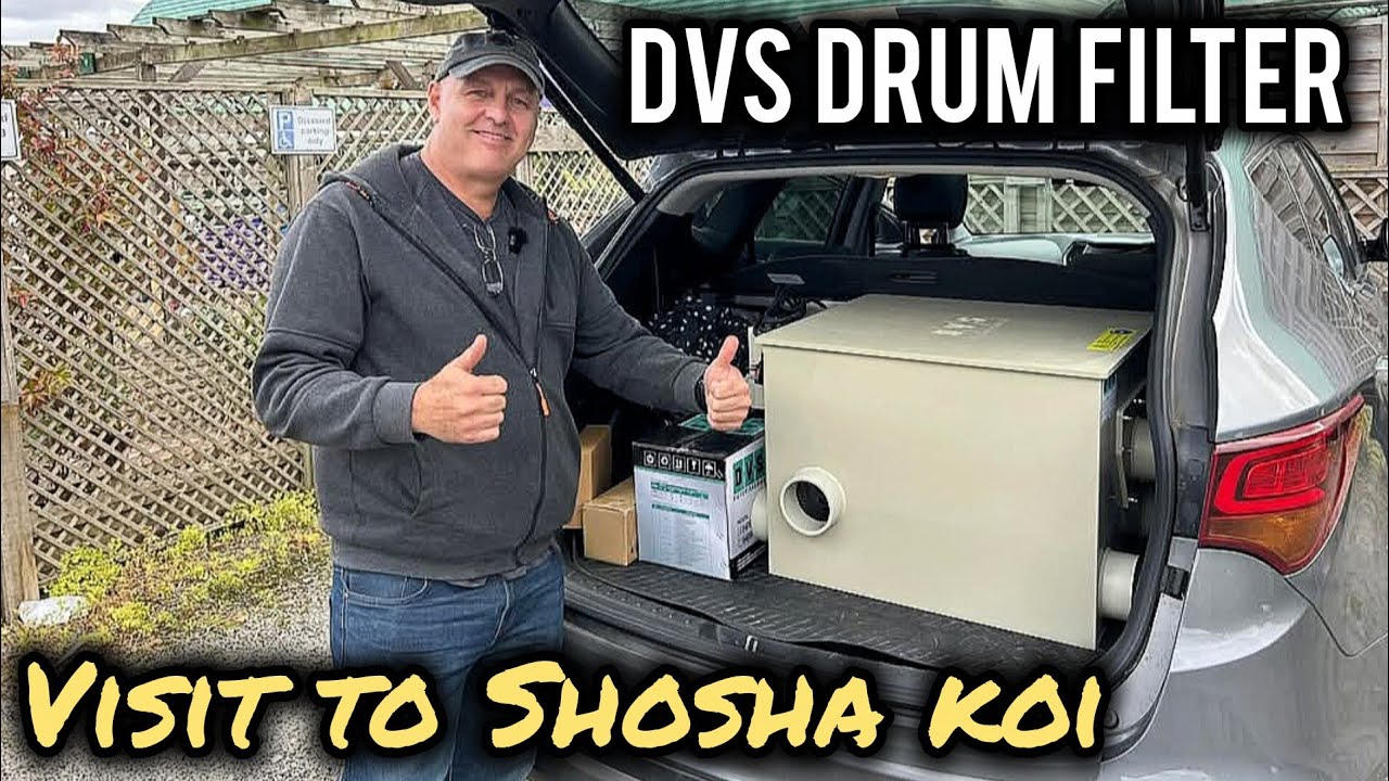 First viewing of the DVS drum filter, from shosha koi dealer