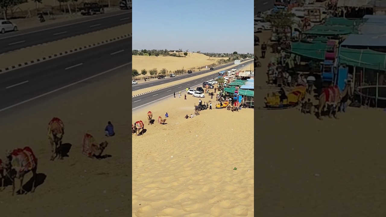 Ramsar Mini #Jaisalmer #Rajasthan #churu #shortvideo #virelvideo #travel #video #camel