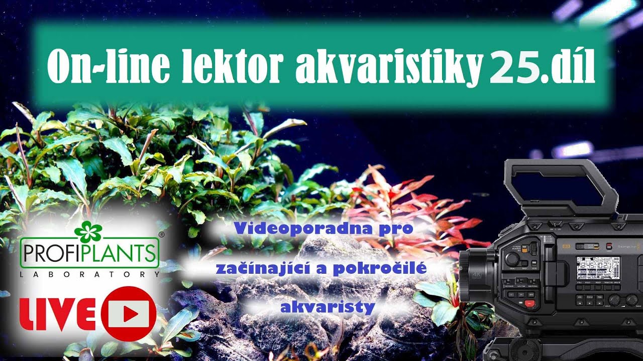Profiplants - videoškola akvaristiky Díl 25 - 30.9.2023 v 16 hodin