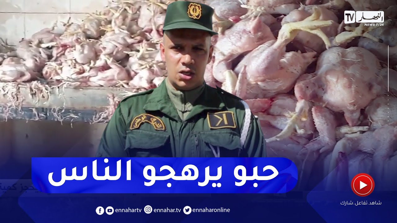 بجاية: الدرك الوطني يكشف عن مذبح سري ويحجز كمية معتبرة من الدجاج الفاسد بواد غير
