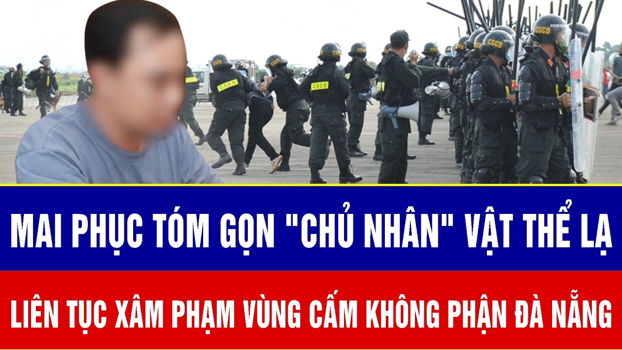 Mai phục tóm gọn 