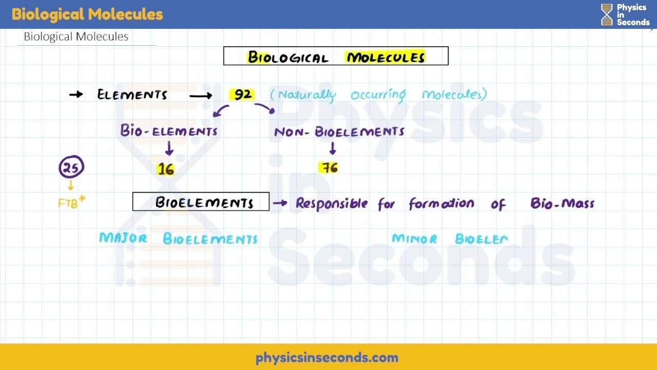 Biology EP2023 Biological Molecules Biological Molecules