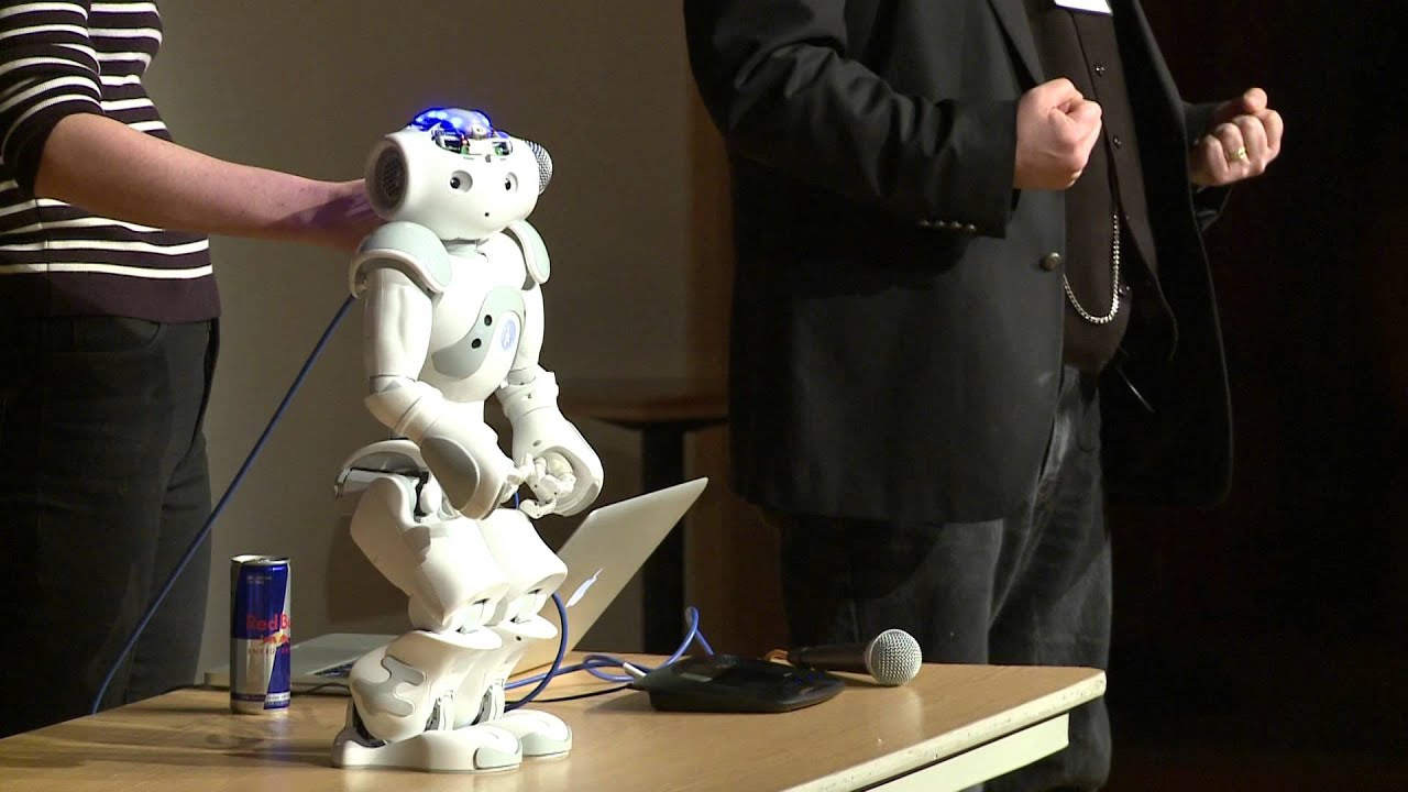 Robert Comedy: Heather Knight at TEDxCMU 2011