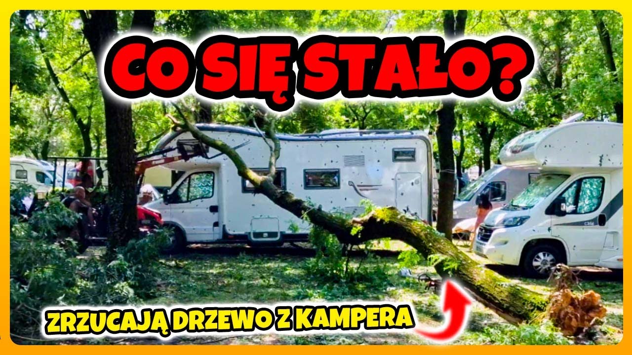 CO SIĘ STAŁO i CO DALEJ? - Assistance, Drzewo na Drugim Kamperze. Kamperem do Włoch