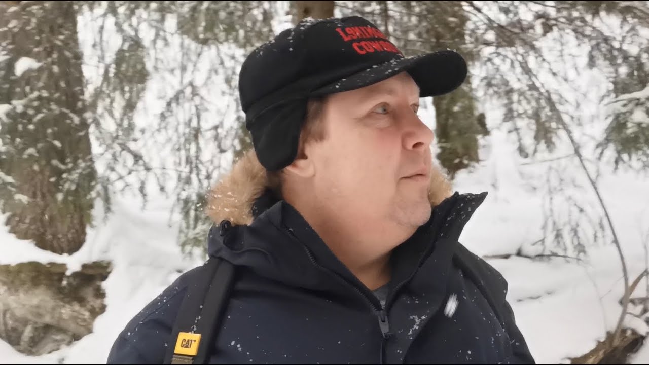 Пасіка в Фінляндії - реальність.