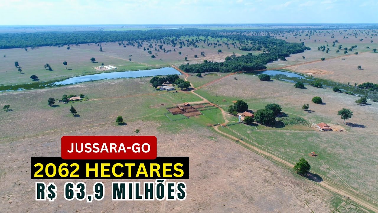 Fazenda com 2062 Hectares em Jussara GO/ Terra Vermelha, Água Abundante e Alto Potencial lucrativo