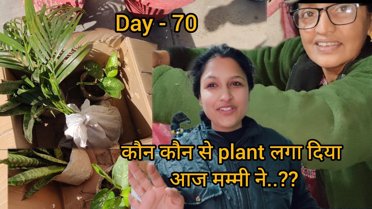 Day - 70 🌿☘️ KAUN-KAUN SE PLANT LAGA DIYA AAJ MUMMY NE..??
