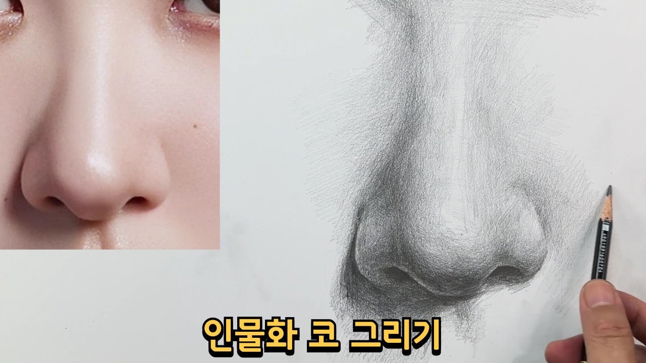 인물화 코 그리기 | Pencil Nose Drawing (Portrait Basics)