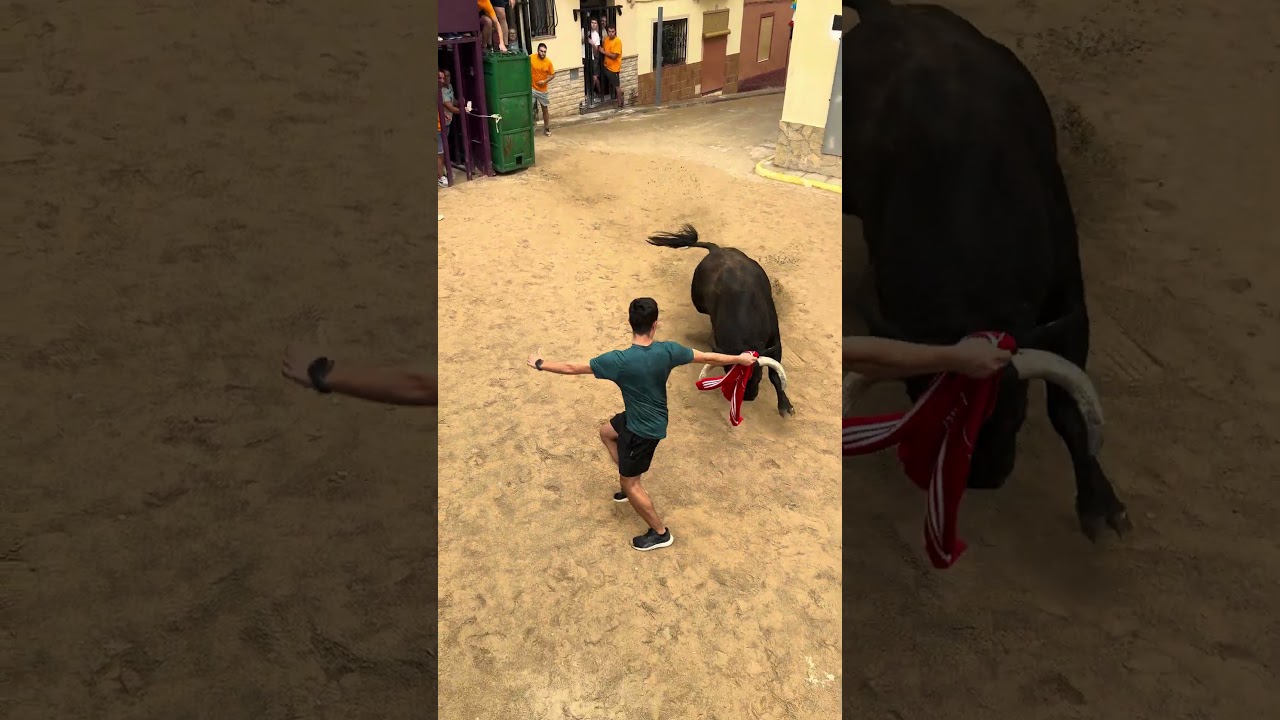 &iexcl;Este toro cerril se vuelve loco al salir del caj&oacute;n! #toros #bull #costur