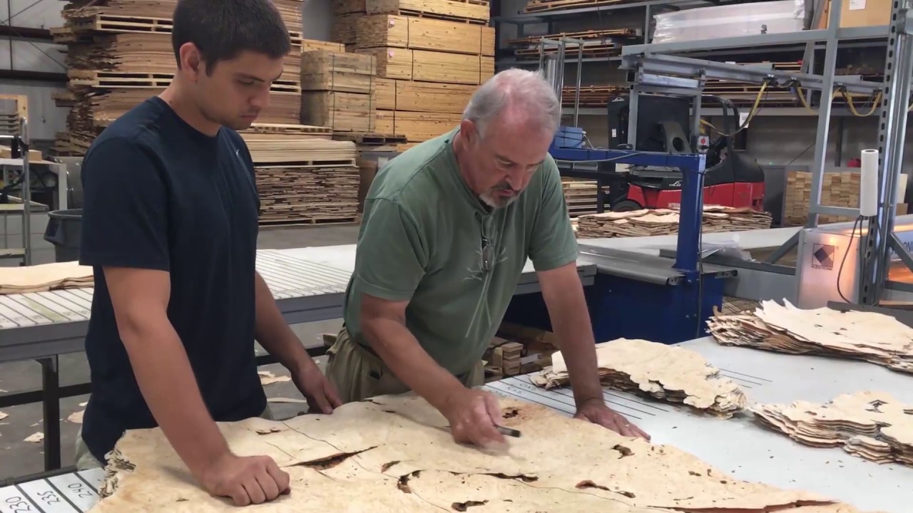 How is Wood Veneer Processed?