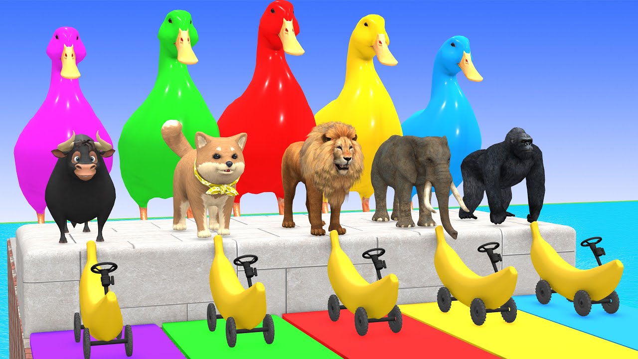 Long Slide Game With Elephant Gorilla Buffalo Hippopotamus Tiger 3d Animal Game Funny 3d Animals