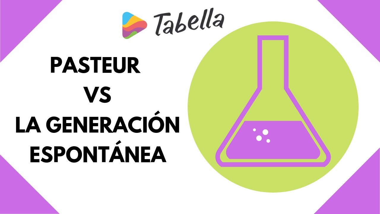 Pasteur Vs la generaci&oacute;n espont&aacute;nea | Aprende Con Tabella
