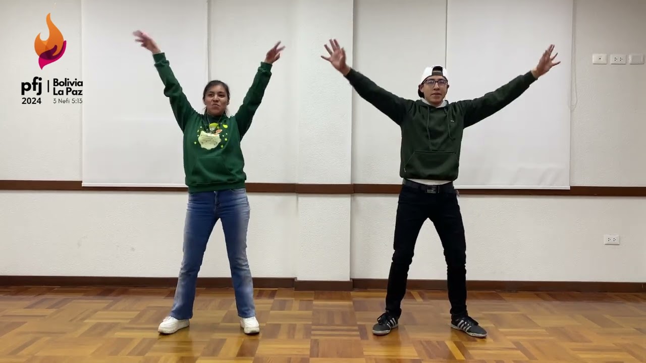 BAILE PFJ -  WE LIKE PARTY