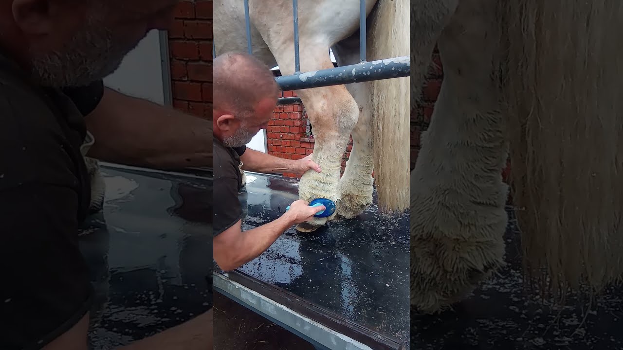 Henk in de paardenJacuzzi op de brug voor de eerste  behandeling