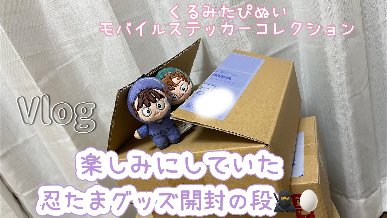 《𝑽‌𝑳‌𝑶‌𝑮》予約していた忍たま乱太郎のグッズ開封の段🥷🥚／くるみたぴぬい🧸／モバイルステッカーコレクション📱