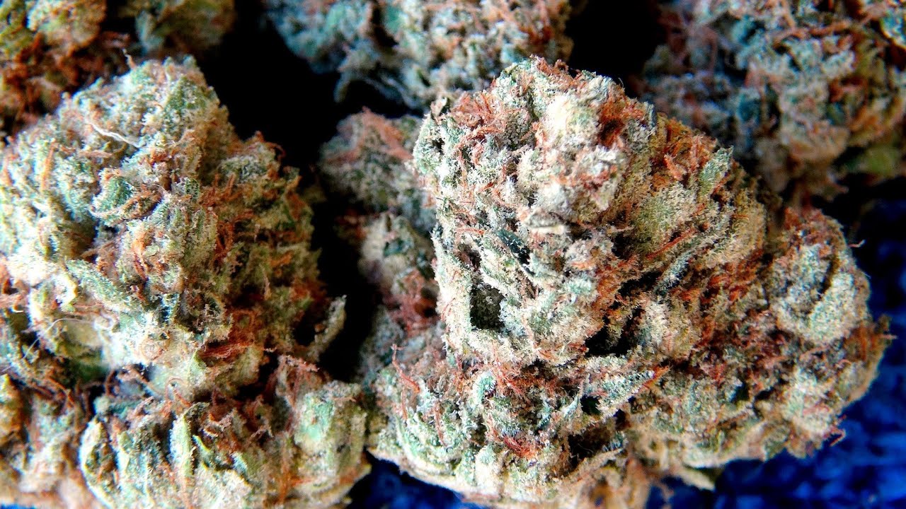 CHEMDAWG STRAIN REVIEW
