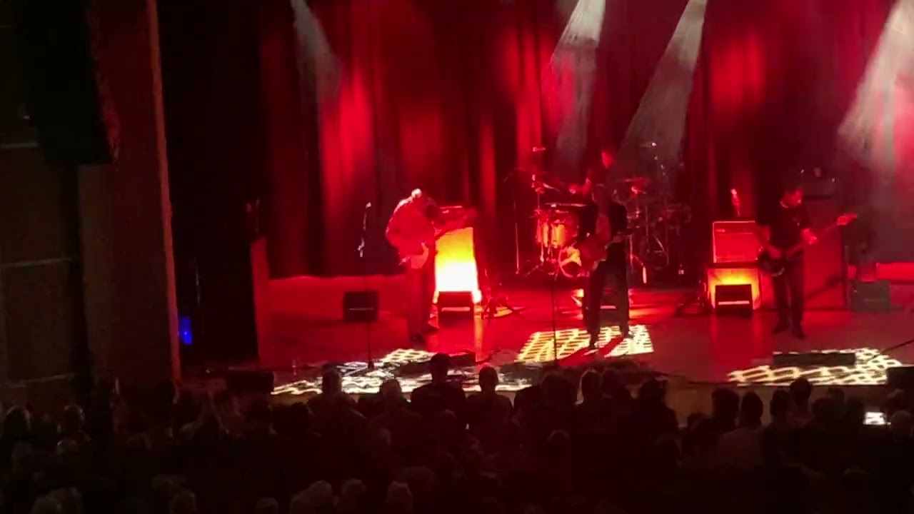 Ride - seagull
