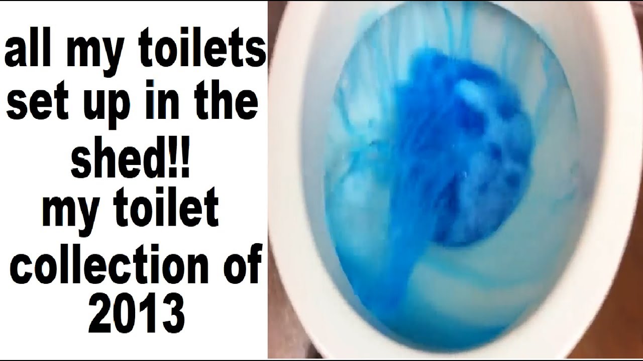10 toilets installed in the shed!
