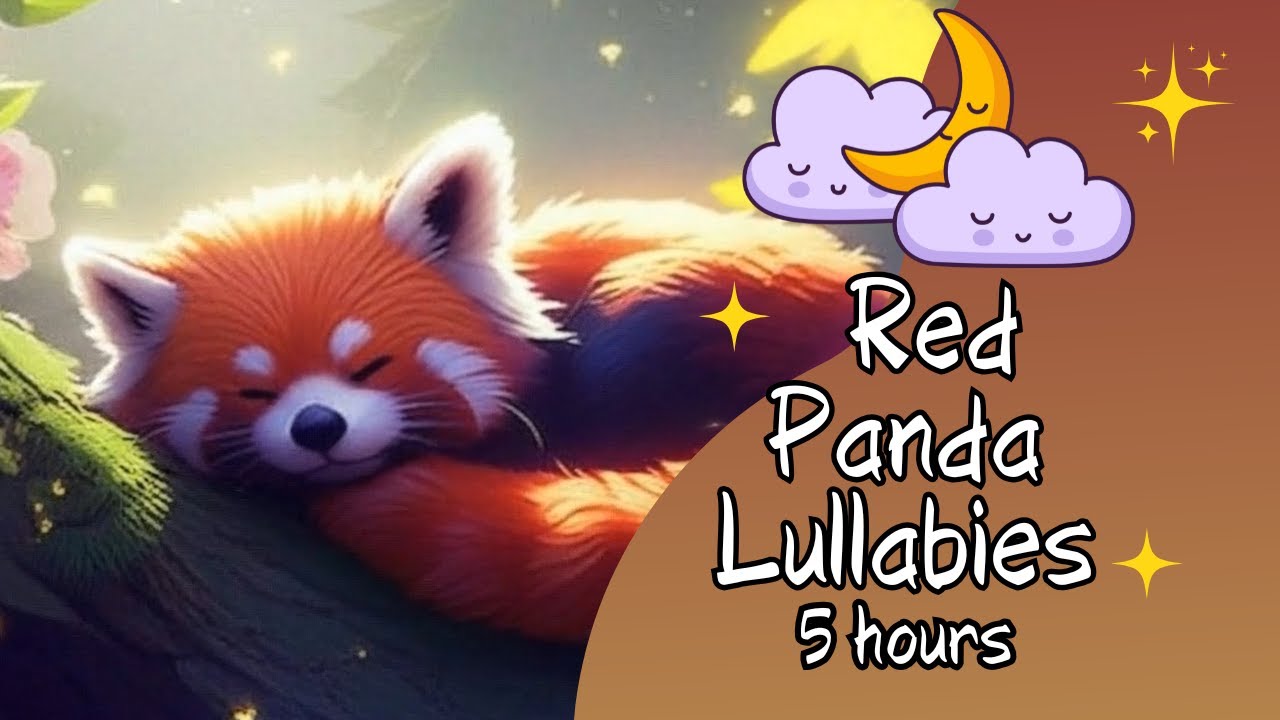 Red Panda Lullaby Music 🐾 5 Hour Loop for Deep Baby Sleep & Relaxation